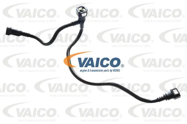 Fuel Line