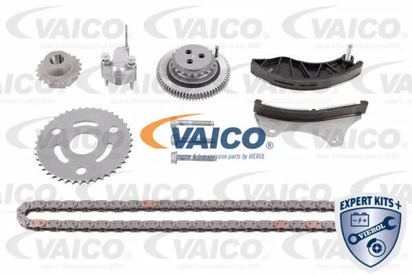 Timing Chain Kit