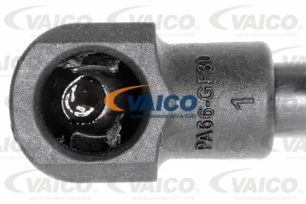 Gas Spring, boot/cargo area