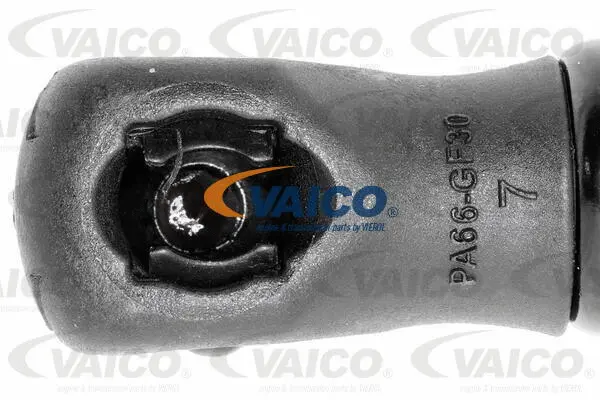 Gas Spring, boot/cargo area