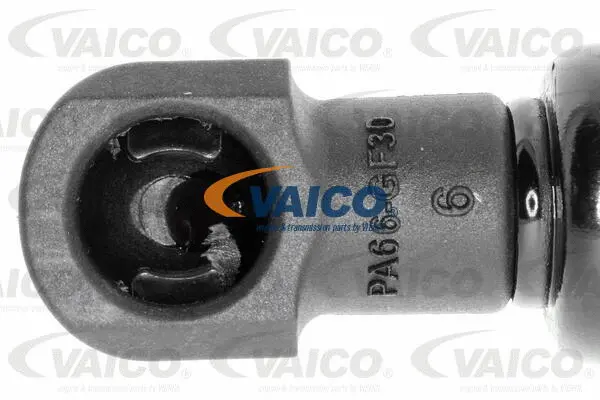 Gas Spring, rear window