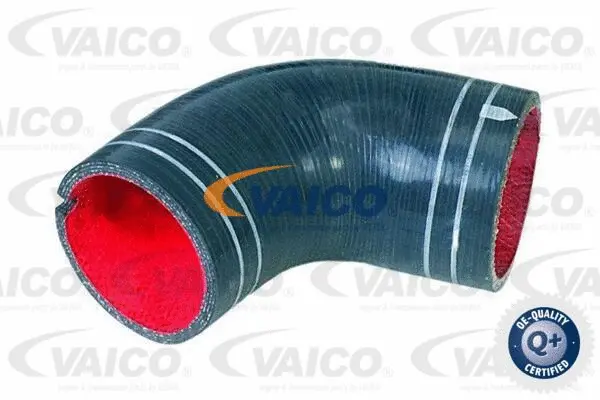 Charge Air Hose
