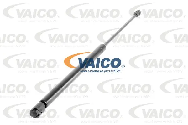 Gas Spring, boot/cargo area