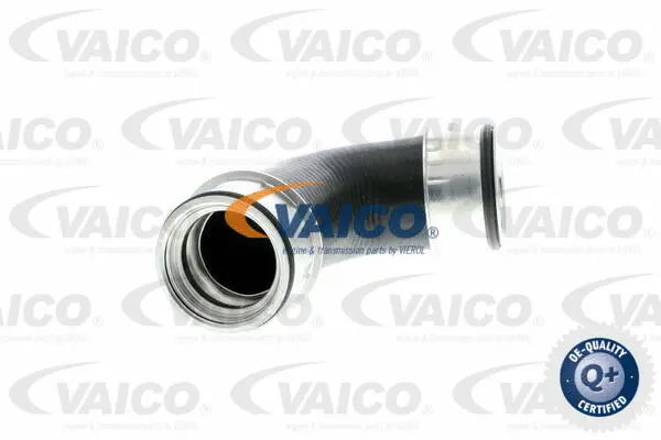 Charge Air Hose