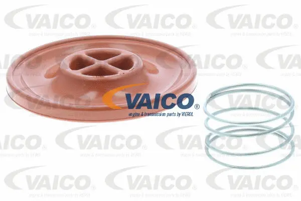 Valve, crankcase ventilation