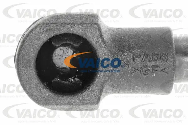 Gas Spring, boot/cargo area