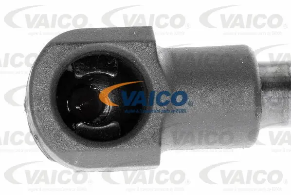 Gas Spring, bonnet