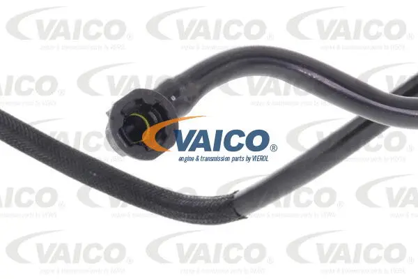 Fuel Line