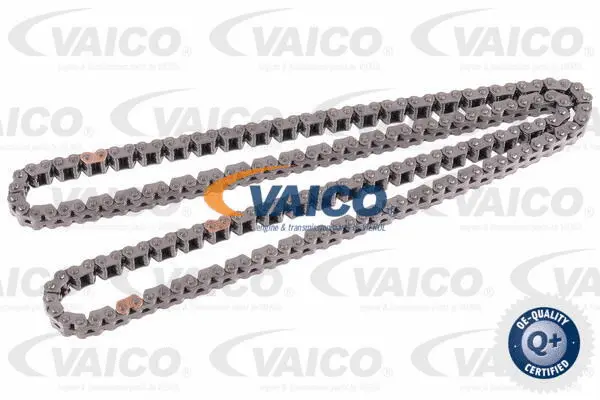 Timing Chain