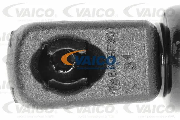 Gas Spring, boot/cargo area