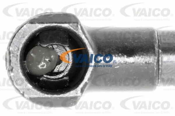 Gas Spring, bonnet