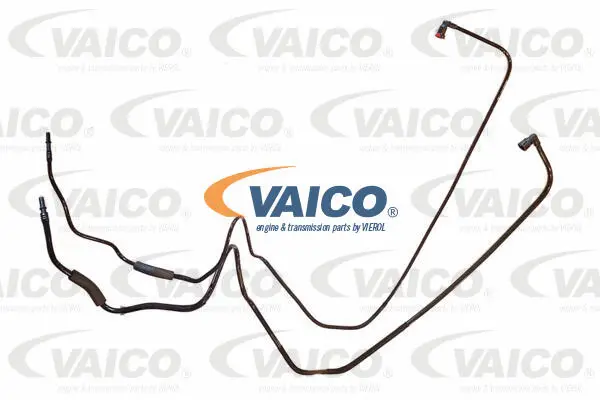 Fuel Line