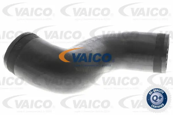 Charge Air Hose