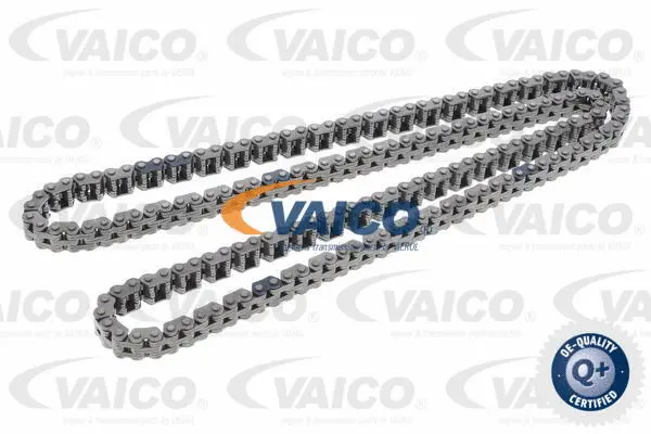 Timing Chain