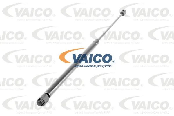 Gas Spring, boot/cargo area
