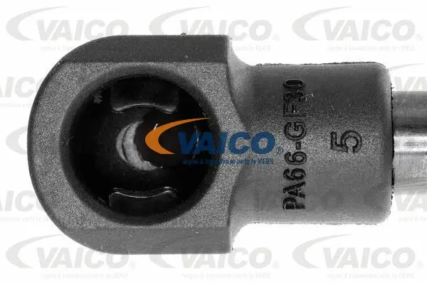 Gas Spring, boot/cargo area