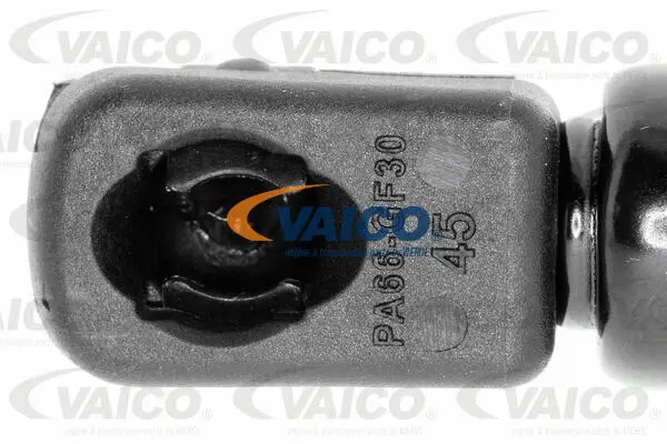 Gas Spring, boot/cargo area