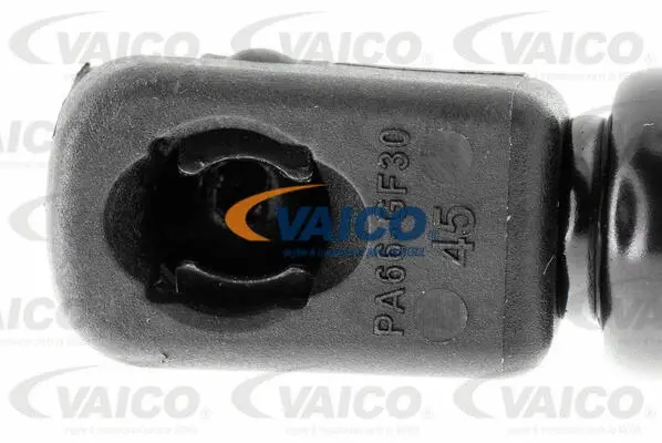 Gas Spring, boot/cargo area