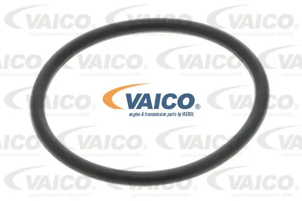 Hydraulic Filter, automatic transmission