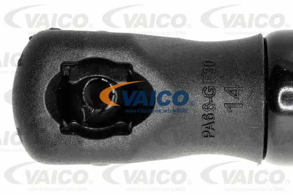 Gas Spring, boot/cargo area