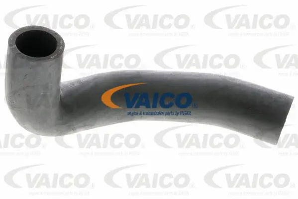 Charge Air Hose