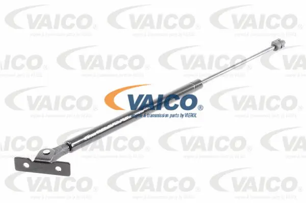 Gas Spring, bonnet