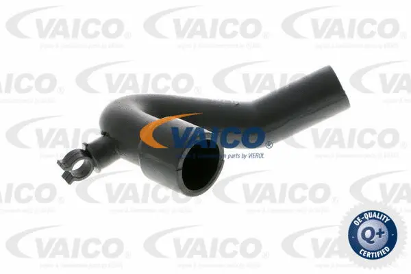 Hose, crankcase ventilation