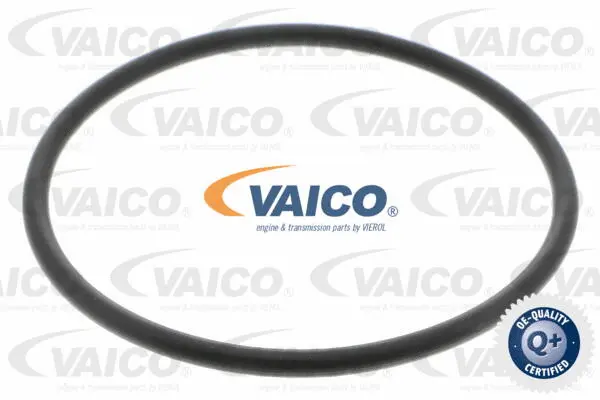 Hydraulic Filter, automatic transmission