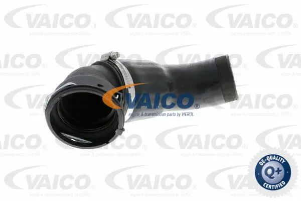 Charge Air Hose