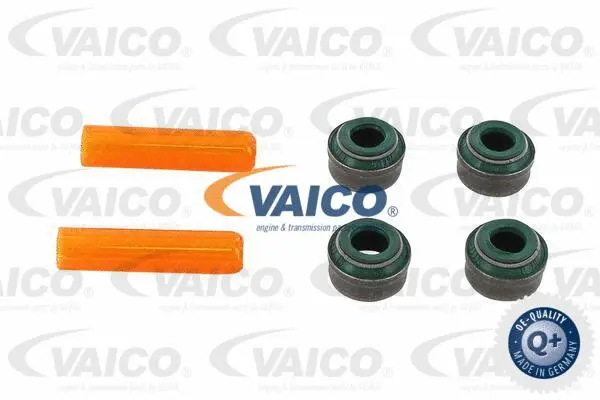 Seal Set, valve stem