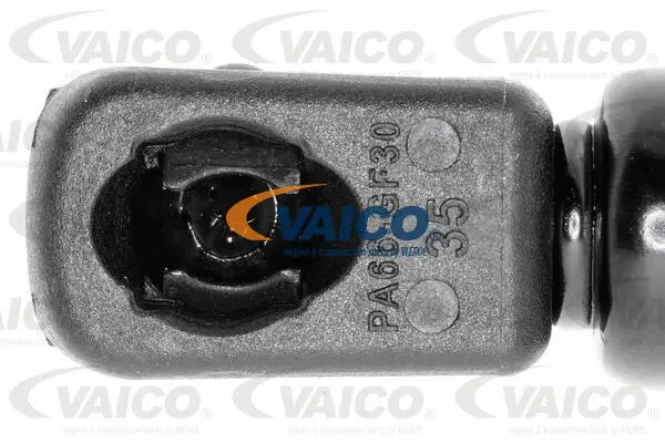 Gas Spring, boot/cargo area