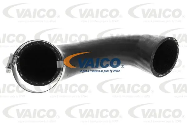 Charge Air Hose