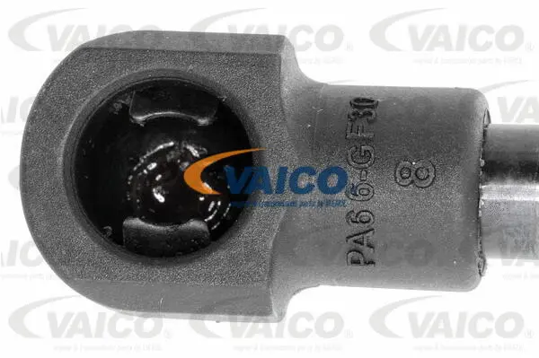 Gas Spring, boot/cargo area