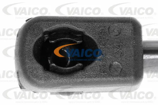 Gas Spring, boot/cargo area