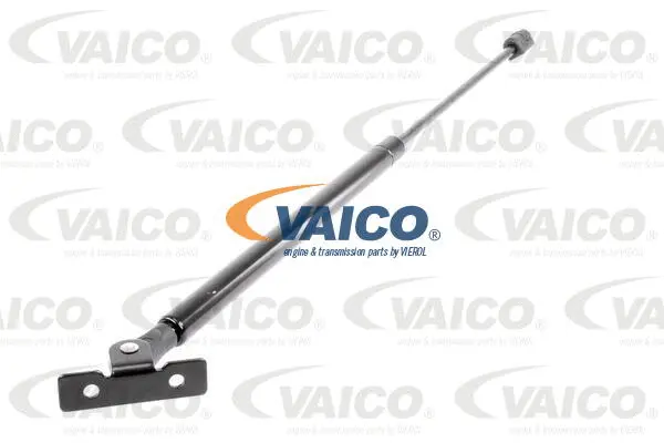 Gas Spring, bonnet