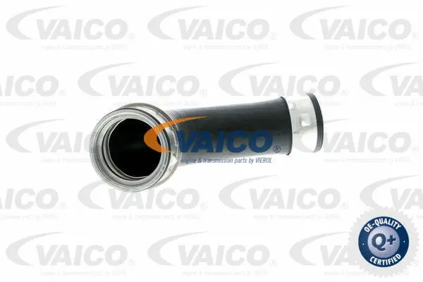 Charge Air Hose