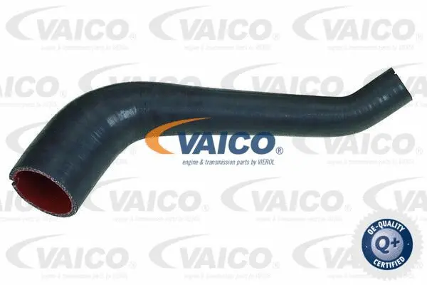 Charge Air Hose