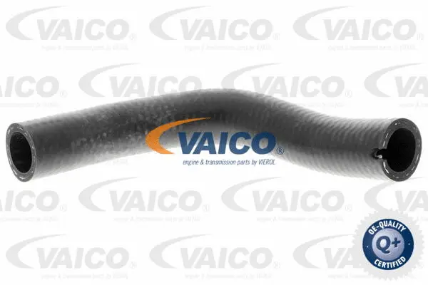 Charge Air Hose