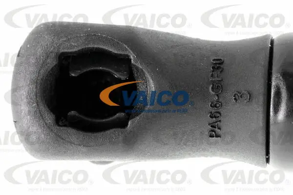 Gas Spring, boot/cargo area