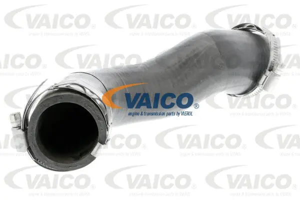 Charge Air Hose