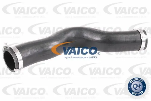 Charge Air Hose