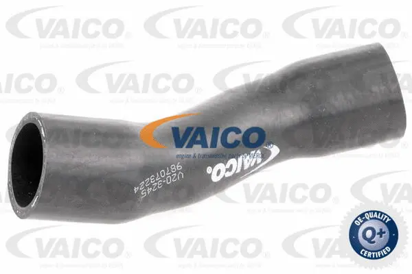 Radiator Hose (V20-3245)