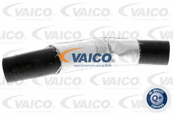 Charge Air Hose