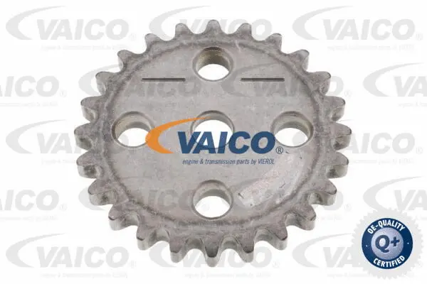 Sprocket/Gear, oil pump