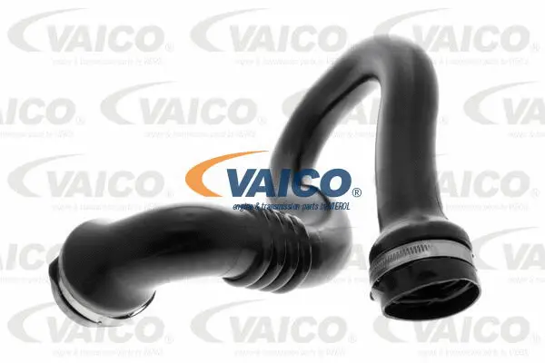 Charge Air Hose
