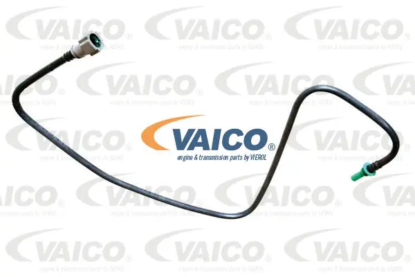 Fuel Line