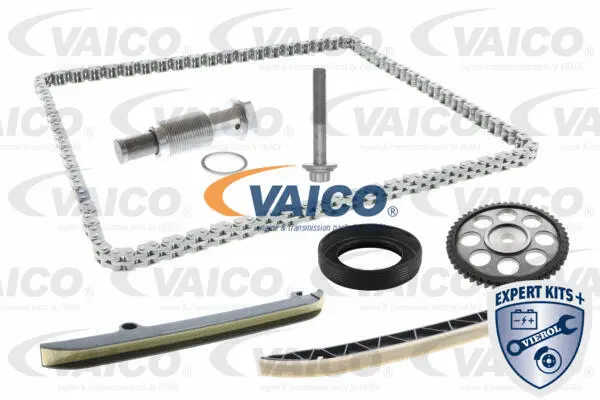 Timing Chain Kit
