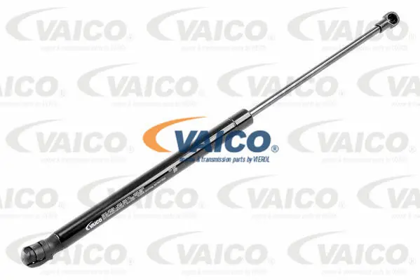 Gas Spring, boot/cargo area