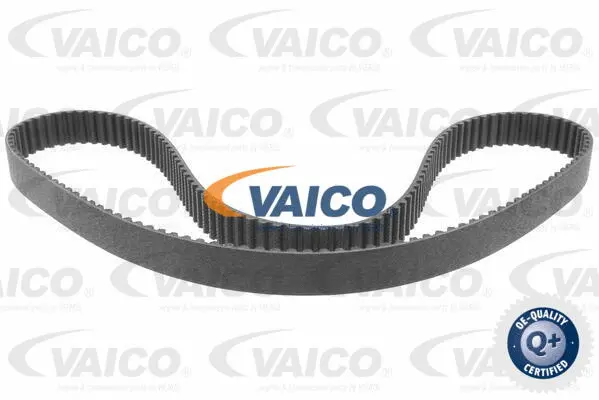 Timing Belt