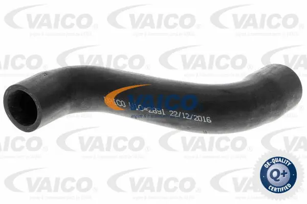 Charge Air Hose